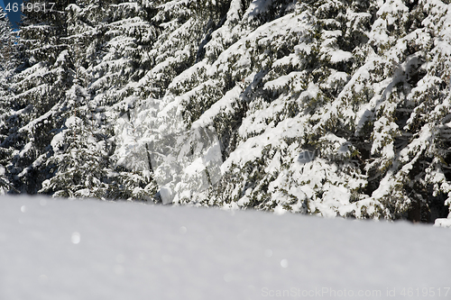 Image of snow background