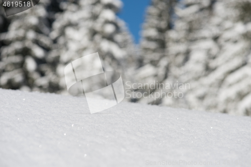 Image of snow background