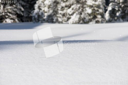 Image of snow background