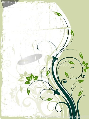 Image of floral background
