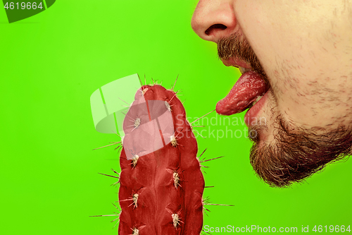 Image of Man touching sharp cactus by tongue