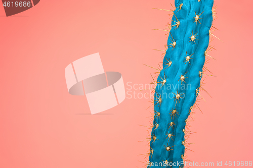 Image of Cactus Fashion Set Design. Minimal Stillife. Trendy Bright Colors.