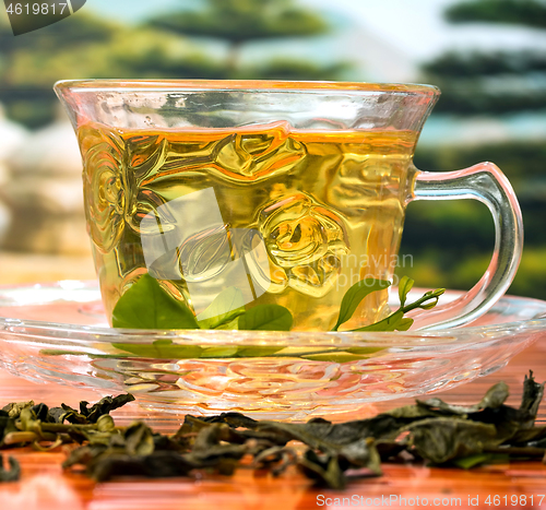 Image of Green China Tea Represents Drinking Beverage And Refreshing  