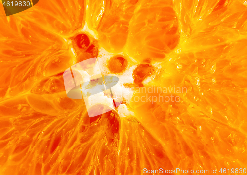 Image of Orange Closeup Means Citrus Fruit And Fresh 