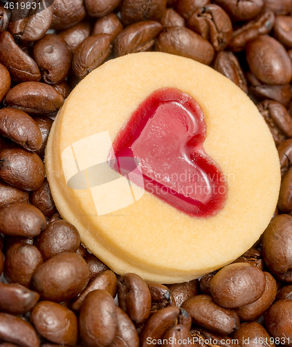 Image of Special Coffee Beans Represents Aromatic Beverage And Caffeine 