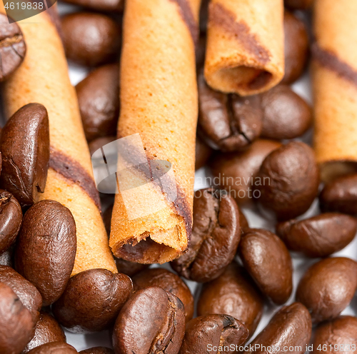 Image of Coffee Beans Cookies Indicates Hot Drink And Beverage 