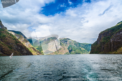 Image of Sognefjord in Norway