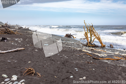 Image of jade beach Hokitika, New Zealand