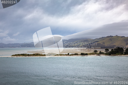 Image of landscape at Taiaroa Head New Zealand