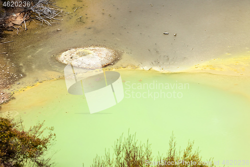 Image of geothermal activity at Rotorua in New Zealand