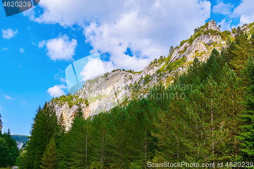 Image of Rhodope Mountains in Bulgaria