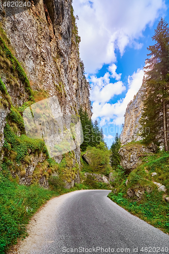 Image of Road in Rhodope Mountains