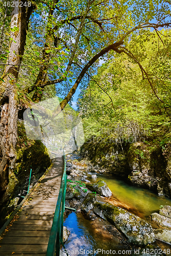 Image of The Devin River Valley