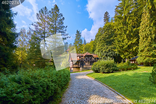 Image of House in Sinaia