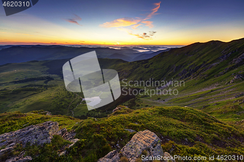 Image of Alpine meadow in beautiful Rodna mountains in Romania