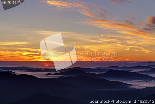 Image of Alpine meadow in beautiful Rodna mountains in Romania