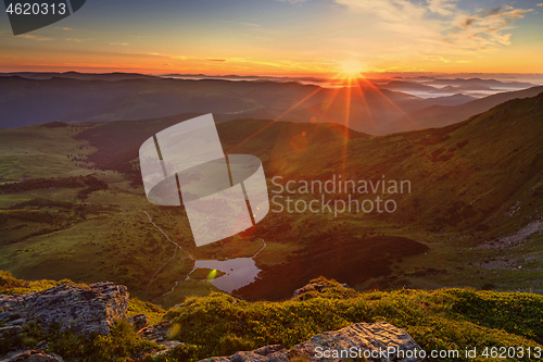 Image of Alpine meadow in beautiful Rodna mountains in Romania