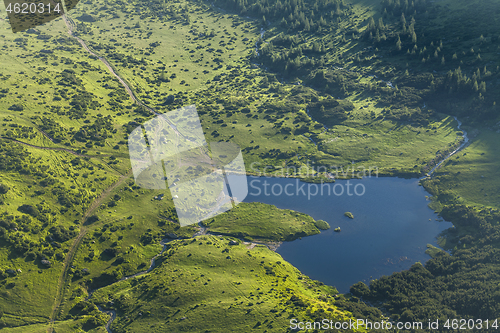 Image of Alpine meadow in beautiful Rodna mountains in Romania