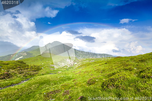 Image of Alpine meadow in beautiful Rodna mountains in Romania