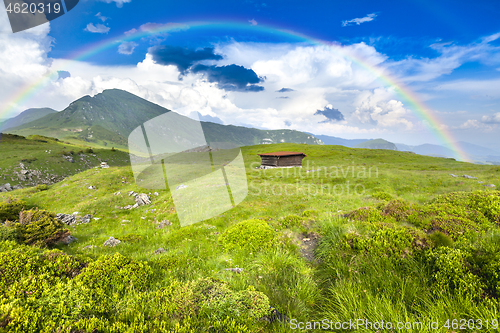 Image of Alpine meadow in beautiful Rodna mountains in Romania