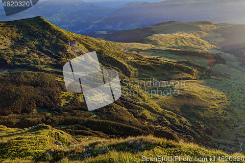 Image of Alpine meadow in beautiful Rodna mountains in Romania