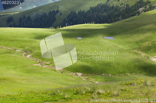 Image of Green meadows in the mountains near Farkeu mountain in Romania