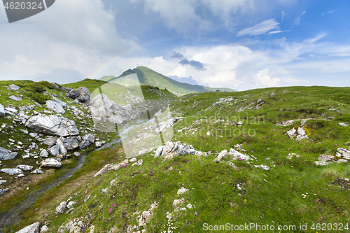 Image of Alpine meadow in beautiful Rodna mountains in Romania