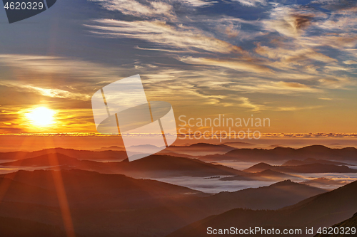 Image of Alpine meadow in beautiful Rodna mountains in Romania