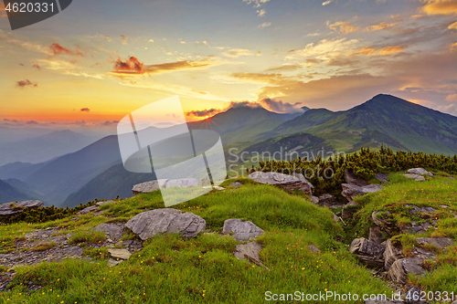 Image of Alpine meadow in beautiful Rodna mountains in Romania