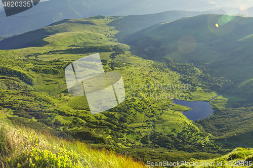 Image of Alpine meadow in beautiful Rodna mountains in Romania