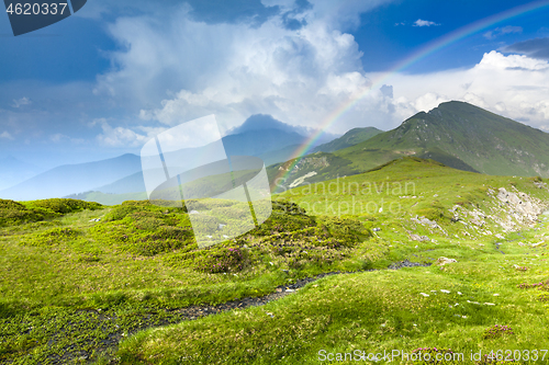 Image of Alpine meadow in beautiful Rodna mountains in Romania