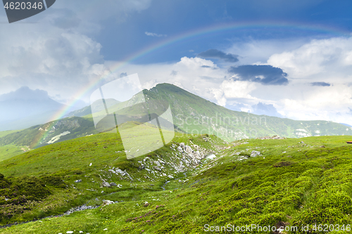 Image of Alpine meadow in beautiful Rodna mountains in Romania
