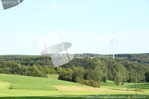 Image of forested mountain 