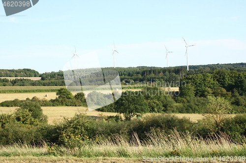 Image of fields and forest