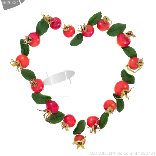 Image of Heart Shaped Rosehip Wreath 