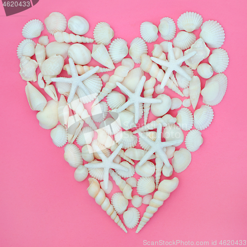 Image of Starfish and Seashell Heart on Pink