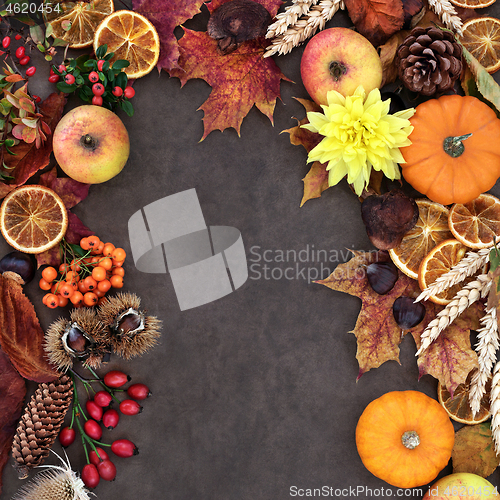 Image of Autumn Harvest Festival Background Border