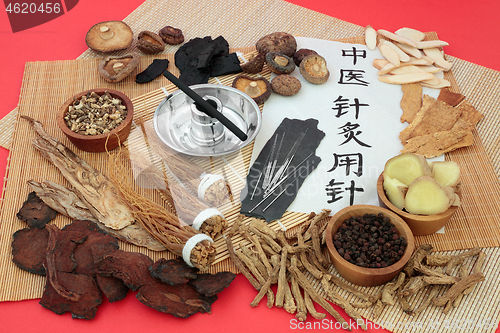 Image of Acupuncture Needles used in Traditonal Chinese Medicine