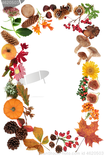 Image of Autumn Harvest Festival Background Border