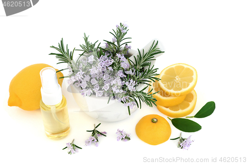 Image of Rosemary Herb and Lemon Vegan Skin Care