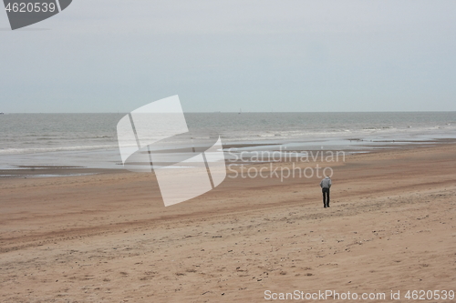 Image of sand beach 