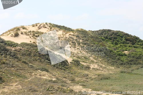 Image of dune 