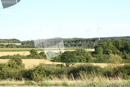 Image of  fields and forest