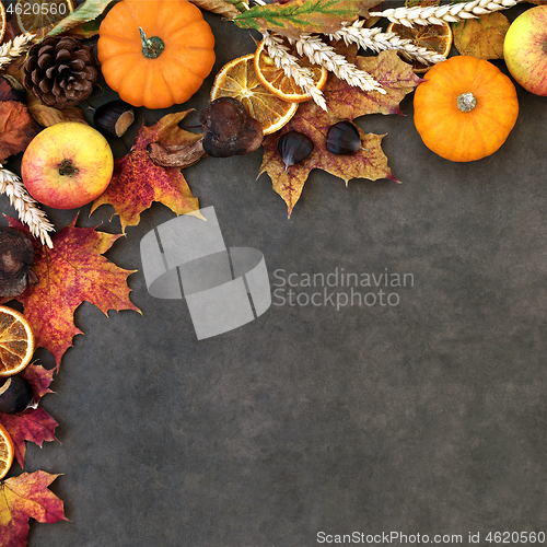 Image of Autumn Harvest Festival Background Border