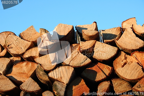 Image of piled logs