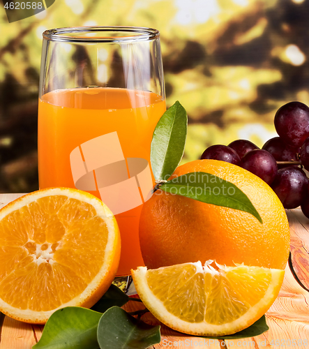 Image of Orange Juice Squeezed Means Citrus Fruit And Drinks 