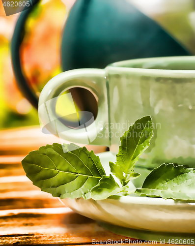 Image of Mint Tea Refreshments Represents Cafeterias Restaurant And Cafes 