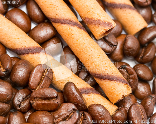 Image of Coffee Beans Cookies Shows Hot Drink And Biscuits 