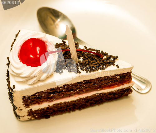 Image of Slice Of Cake Indicates Black Forest And Appetizing 