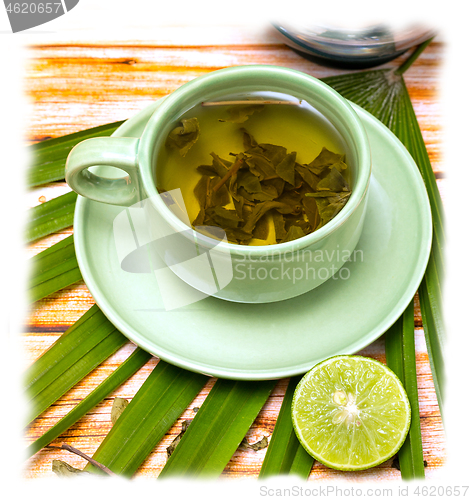 Image of Lime Green Tea Shows Refreshing Teas And Cafeteria 